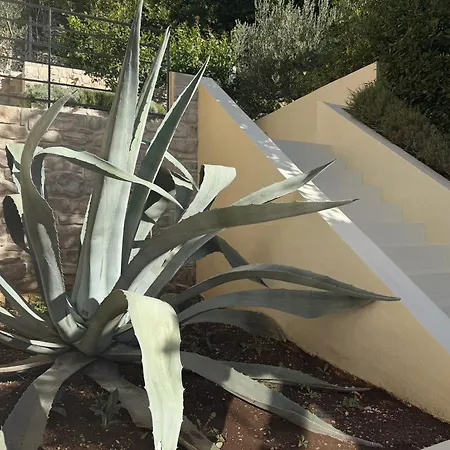 Luxauthentic With Heated Pool Salt Stone - Sauna, Jacuzzi, Gym, Outdoor Kitchen With Bbq *